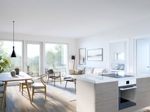 havainnekuva asunnosta