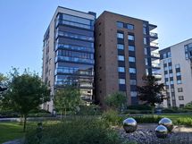 Haikara pihalta päin