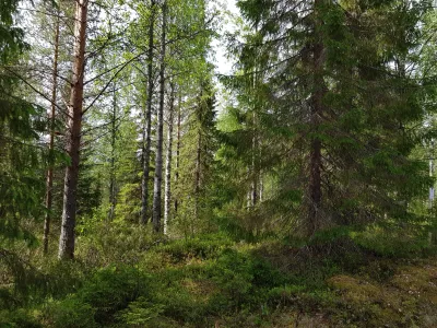 Tontti, 2 255 m², Puolanka - View 2