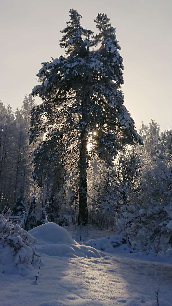 Kerrostalo – Kuhmo, Koskenmäki - Näkymä 3