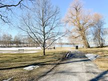 Hatanpään Arboretum on lyhyen kävelymatkan päässä kodista.