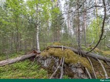 kuva 8 länsirajalla