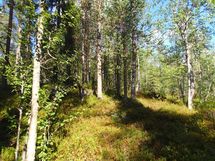 Salla, Sallatunturi, Seitakuja