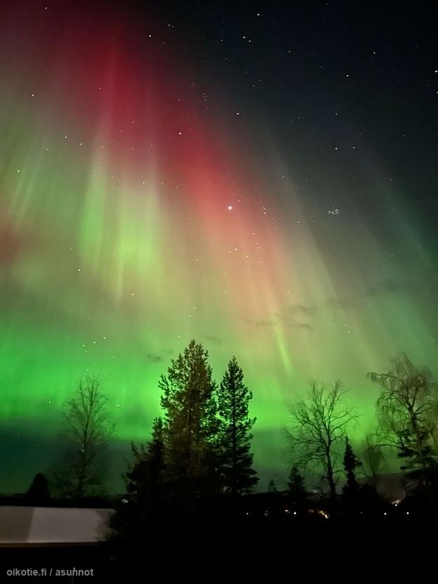 Asuntoilmoituksen kuva