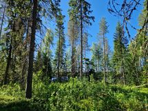 Sotkamo, Pieni-Kiimanen, Kaitainsalmi
