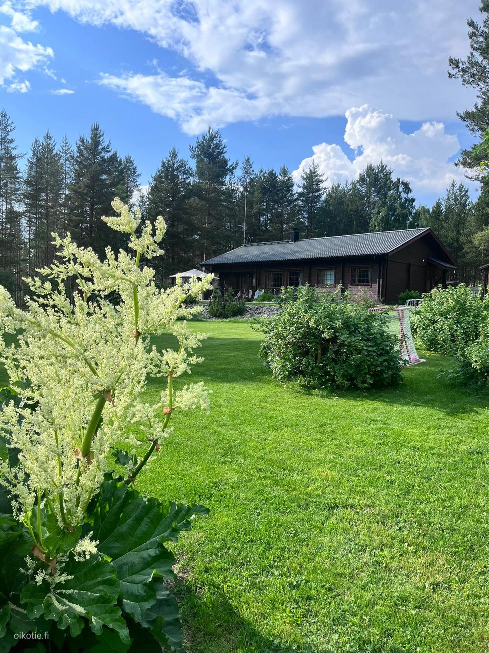 Kohdekuva