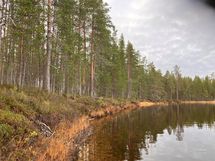 Kortteli 3, tontti 3