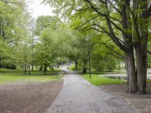 Sibeliuksen puistoa