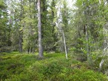 Rovaniemi-Karjalanjärvi