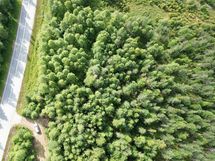 Ilmakuvaa kiinteistöstä Urpola, Rovaniementien varressa oleva palsta