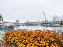 Laukontori, Kuuma sekä monet muut palvelut ovat ihan nurkan takana.