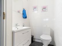 Image delivery from Zentuvo to Linear