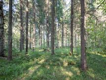 Heinävesi, Karvio, Virranniemi