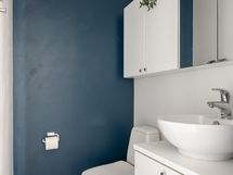 Erillinen wc