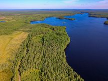 Ilomantsi, Hattujärvi