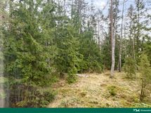 Näkymää ikkunoista