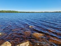 Sotkamo, Pieni-Kiimanen, Kaitainsami