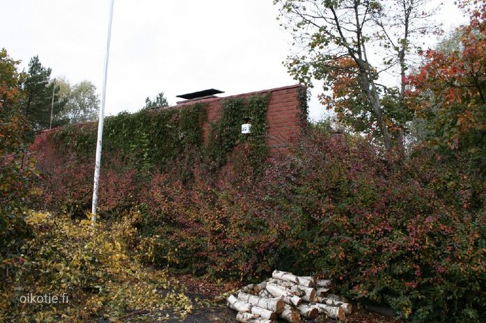 Talokuva