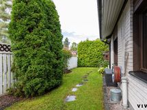 Kesäistä omalta pihalta