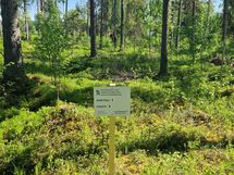 Sotkamo, Pieni-Kiimanen, Kaitainsalmi