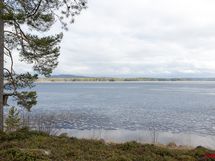 Ranta aluetta