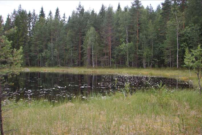 Tontti, 2,05 ha, Jyväskylä, Jyväskylä