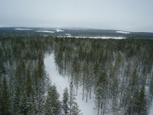 Pudasjärvi, Syöte, Pytkynharju