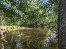 Näkymä venevajasta Mankinjoelle.