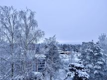 Makuuhuoneen ikkunasta näkymä.