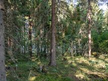 Heinävesi, Karvio, Virranniemi