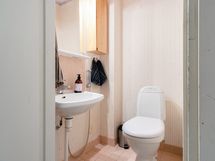 Erillinen wc