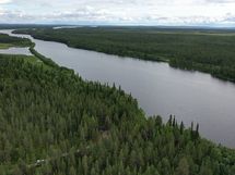 Kitinen (Peurasuvanto)