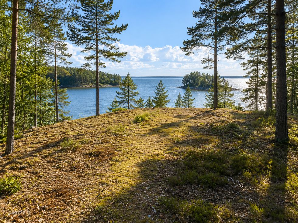 Kohdekuva