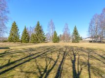 Vieressä oleva puistoalue