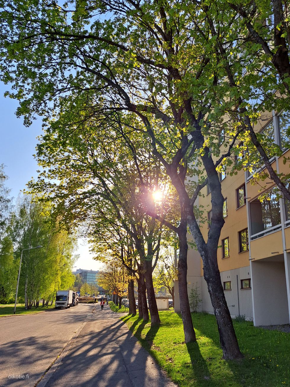 Kohdekuva