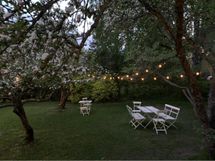 Taloyhtiön pihapiiriä kesällä