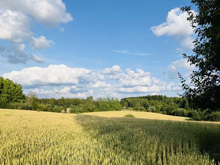 Tontti, 5 000 m², Hirviniemi - Näkymä 2