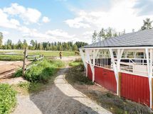 Hevosten kävelytyskone