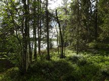 Rovaniemi-Karjalanjärvi