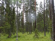 Pello, Miekojärvi, Karhumaan ranta-asemakaava