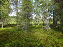 Rovaniemi-Karjalanjärvi