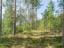 Savonlinna, Kiviapaja, Suuri Siikajärvi