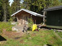 Puuliiteri