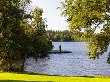 Hatanpään Arboreassa asut puistomaisessa ympäristössä hyvien palveluiden äärellä.