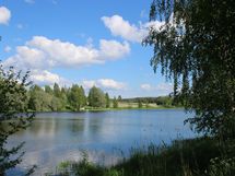kesäinen näkymä järvelle
