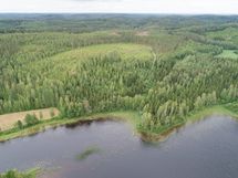 Puumala, Ryhälä, Korppisenjärvi