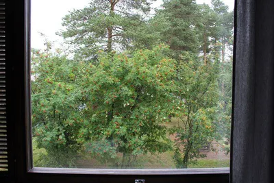 Apartment in Oulu - View 4