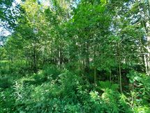 Suonenjoki, Kinnulanniemi