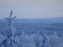 Talvimaisemaa tornista kuvattuna