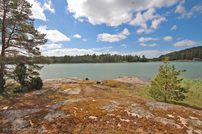 Asuntoilmoituksen kuva